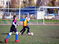 игры 10.05